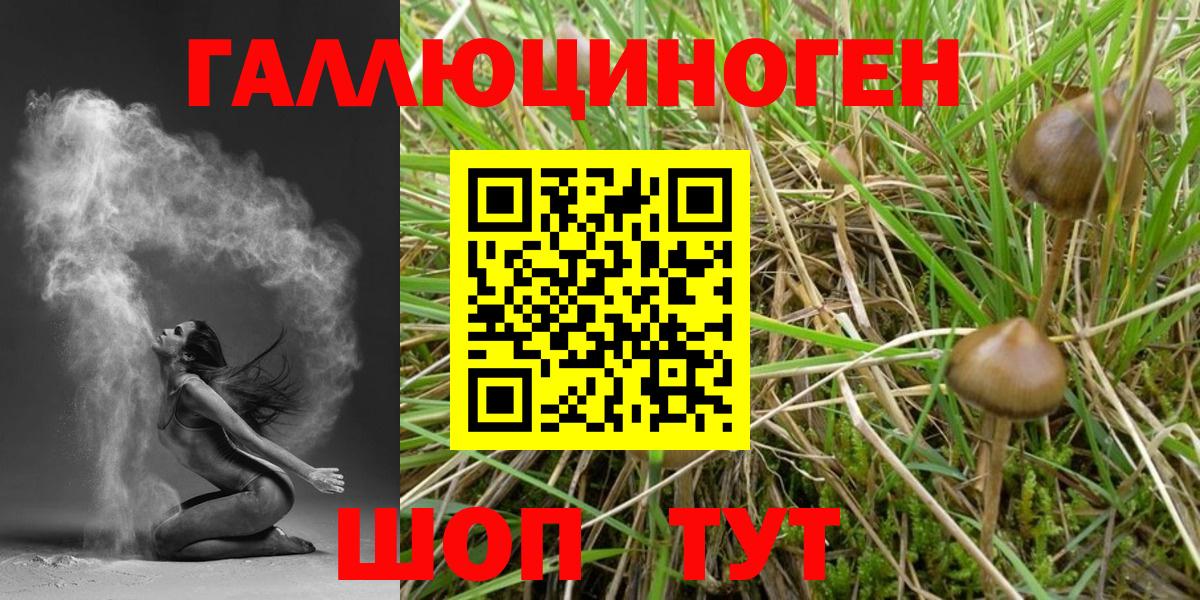Ефремов  закладки  Вход с VPN  Галлюциногенные грибы Psilocybe 